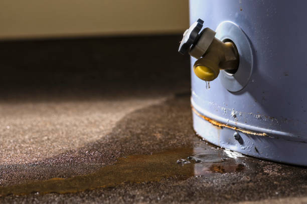 Best Mold removal after water damage  in North Browning, MT
