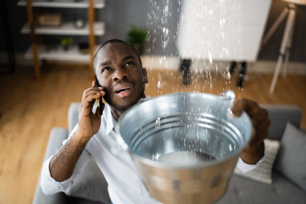 Best Ceiling water damage repair  in North Browning, MT