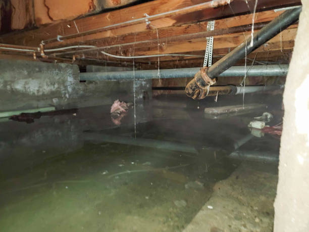 Best Emergency water damage restoration  in North Browning, MT