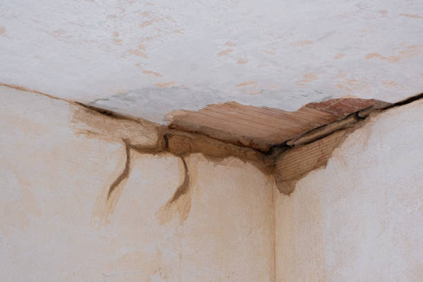 Trusted North Browning, MT Water damage restoration Experts