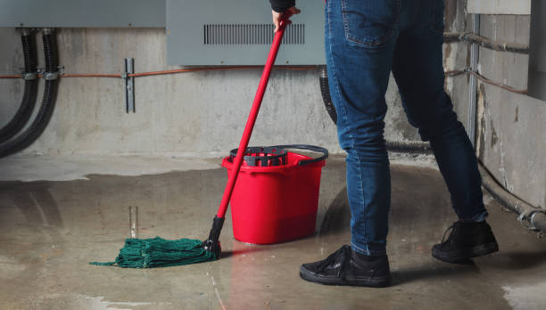 Best Commercial water damage restoration  in North Browning, MT