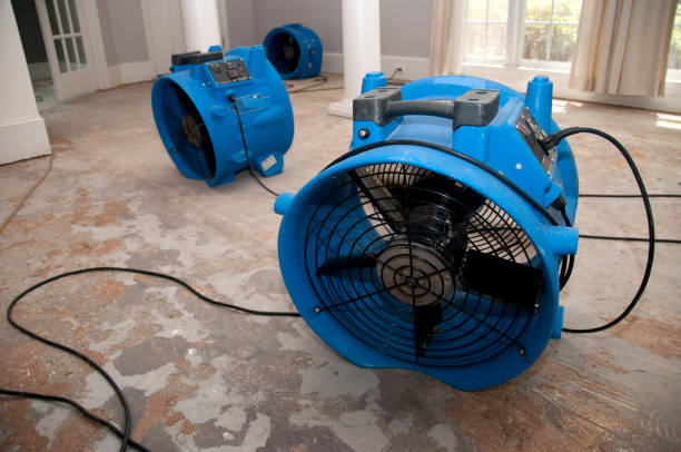 Best Water damage cleanup near me  in North Browning, MT