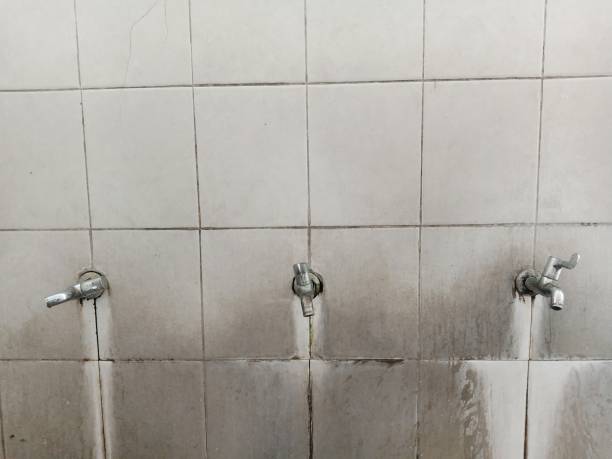 Best Basement water damage restoration  in North Browning, MT