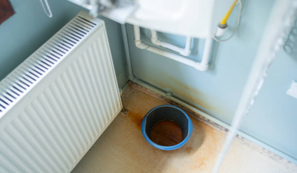 Best Local water damage restoration  in North Browning, MT