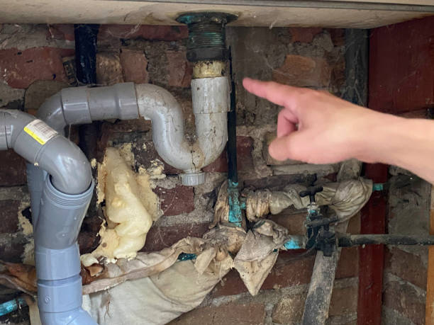 Best Water damage restoration near me  in North Browning, MT