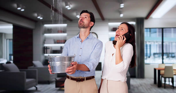 Best 24/7 water damage repair  in North Browning, MT