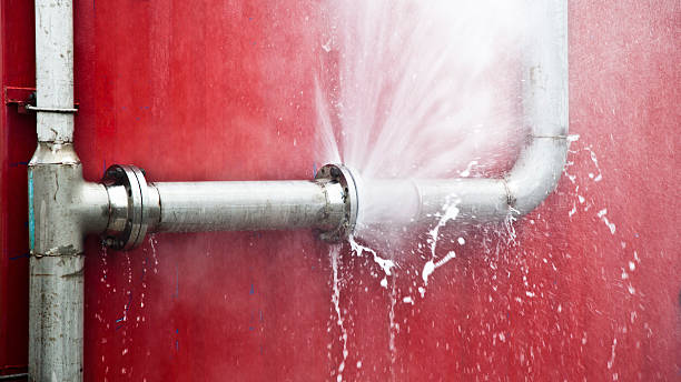 Best Water damage restoration process  in North Browning, MT