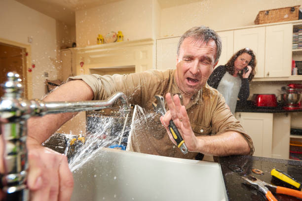Best Water damage repair service  in North Browning, MT